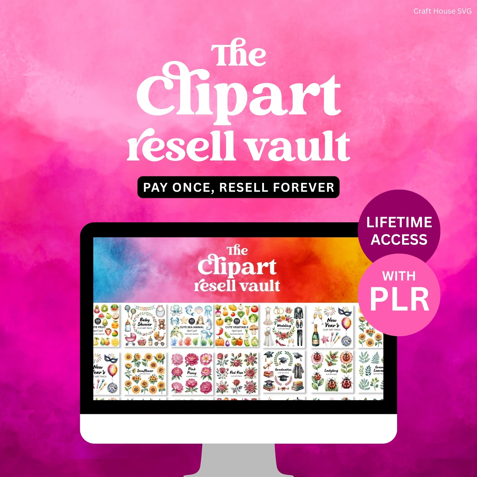 Lifetime Access with PLR Resell Rights - Image 3